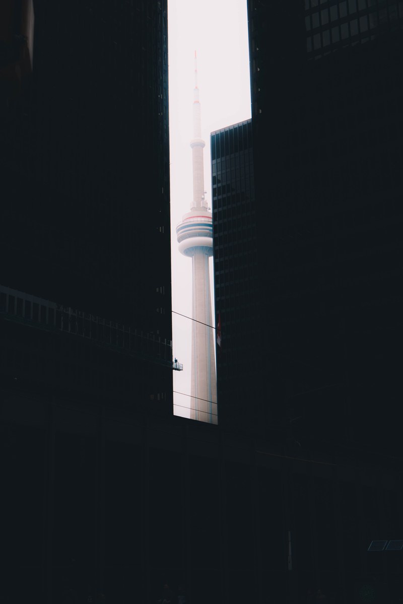 the cn tower in toronto framed by black high rises, cn tower between high rises 4k