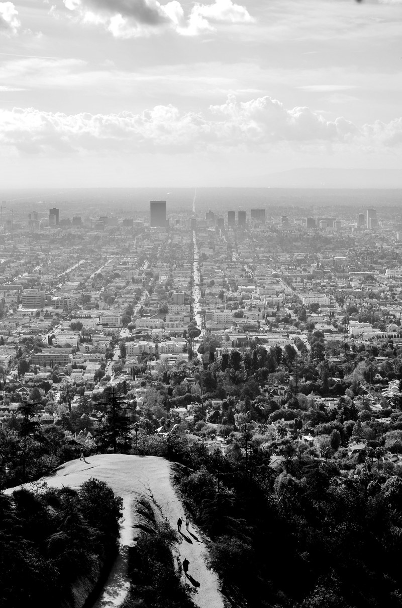 black and white shot of urban sprawl from natural area with trees, monochrome urban sprawl 4k