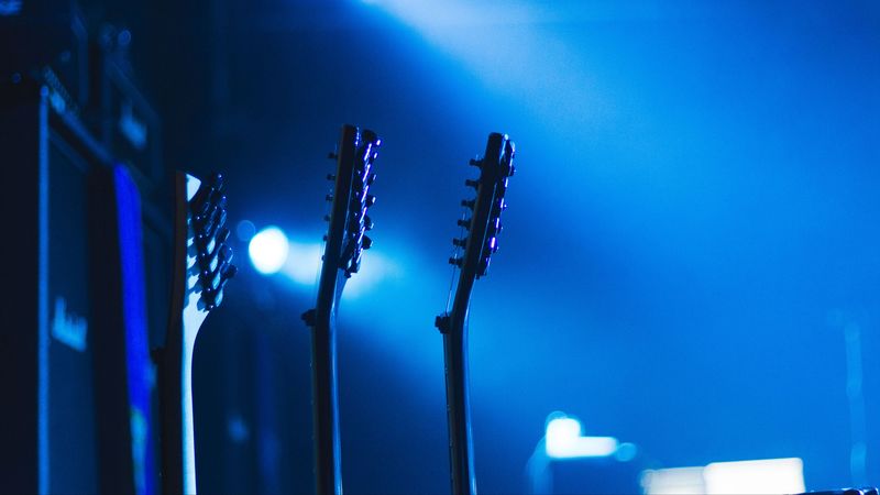 guitar, vulture, music, 4k