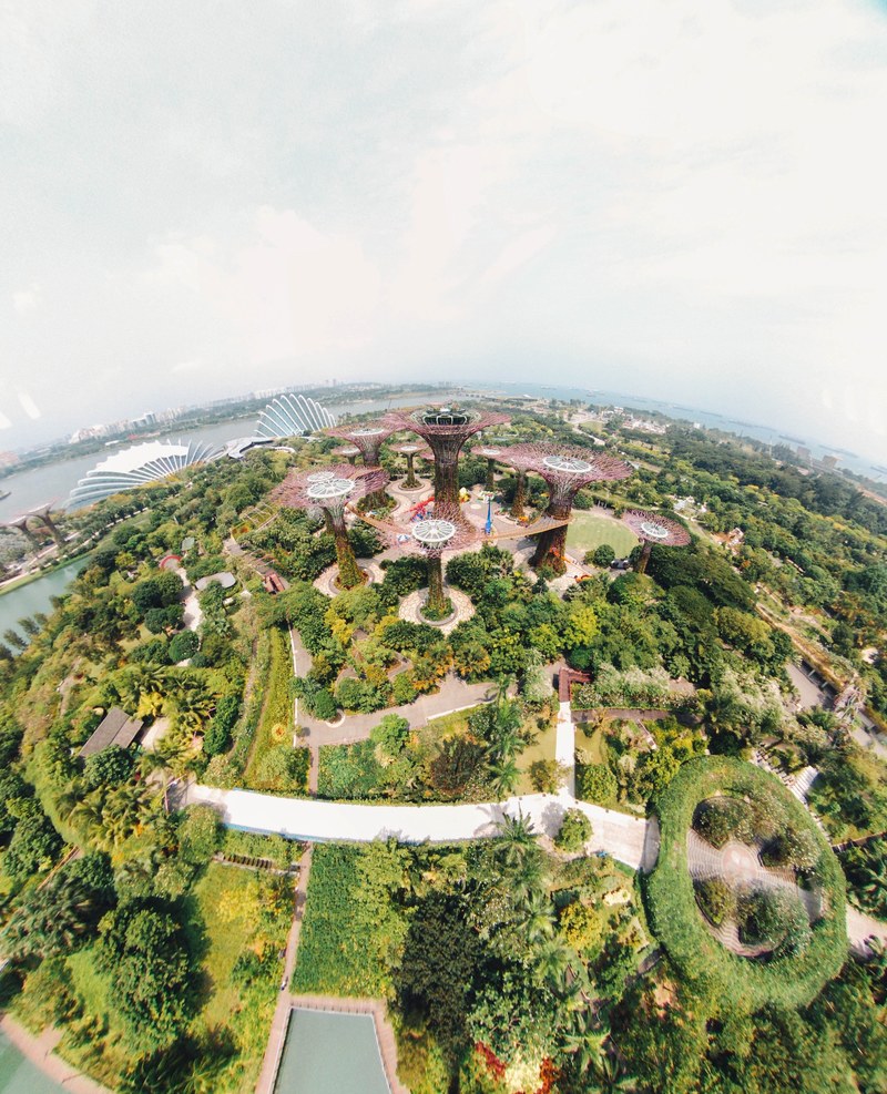 tree birds eye view fish eye len and singapore hd, 4k