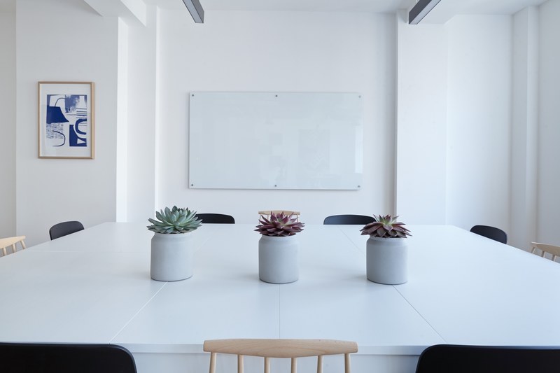three potted succulents on a large white table in a conference room, succulents in conference room 4k