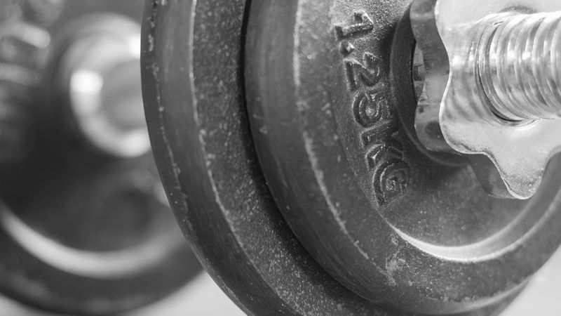 barbell, disk, weightlifter, 4k
