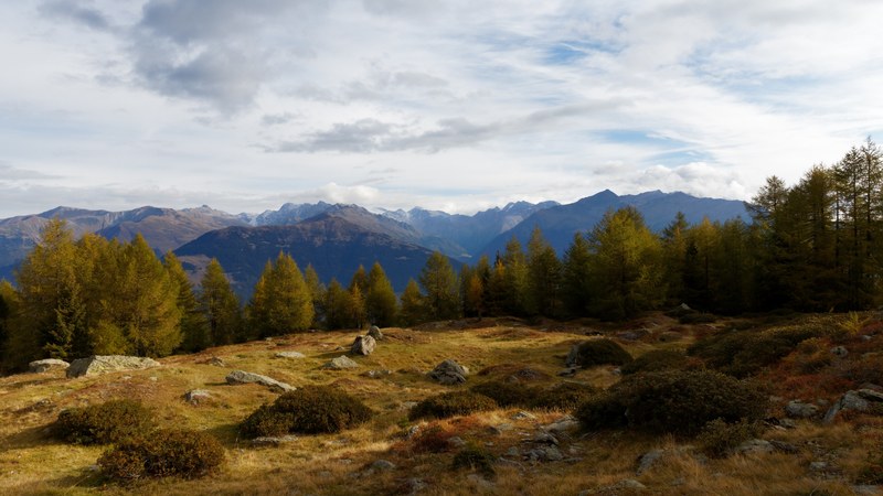 wood italy alp and mountain ridge 4k