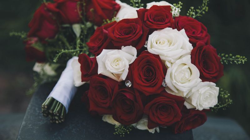 bouquet, roses, composition, 4k