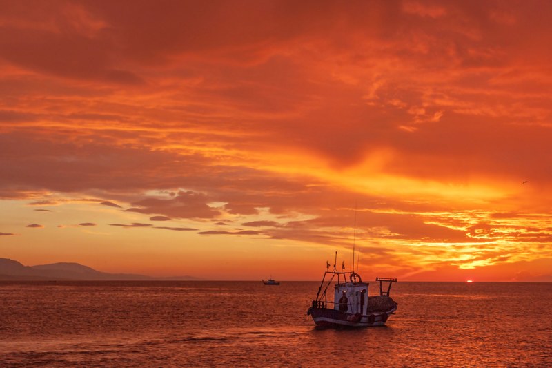pescando al amanecer 4k