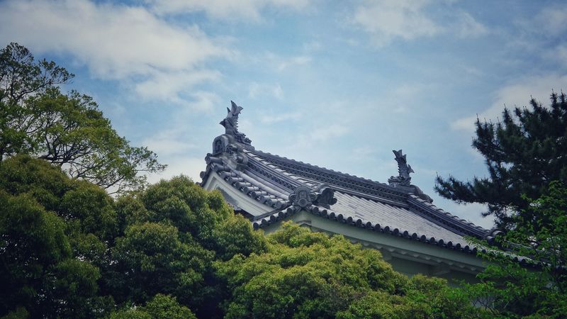 roof, trees, sky, clouds, 4k