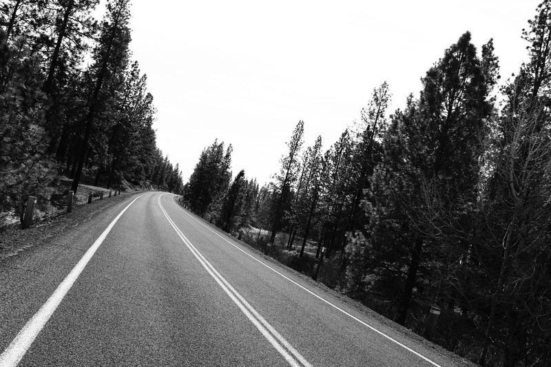 the road 4k