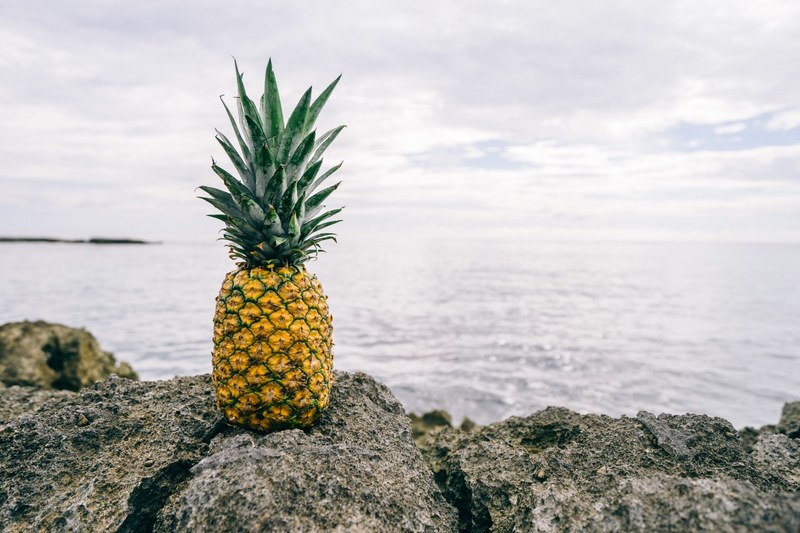 single pineapple on a rocky shoreline by the ocean, pineappple and ocean 4k