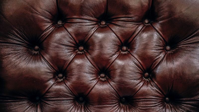 texture, skin, surface, 4k