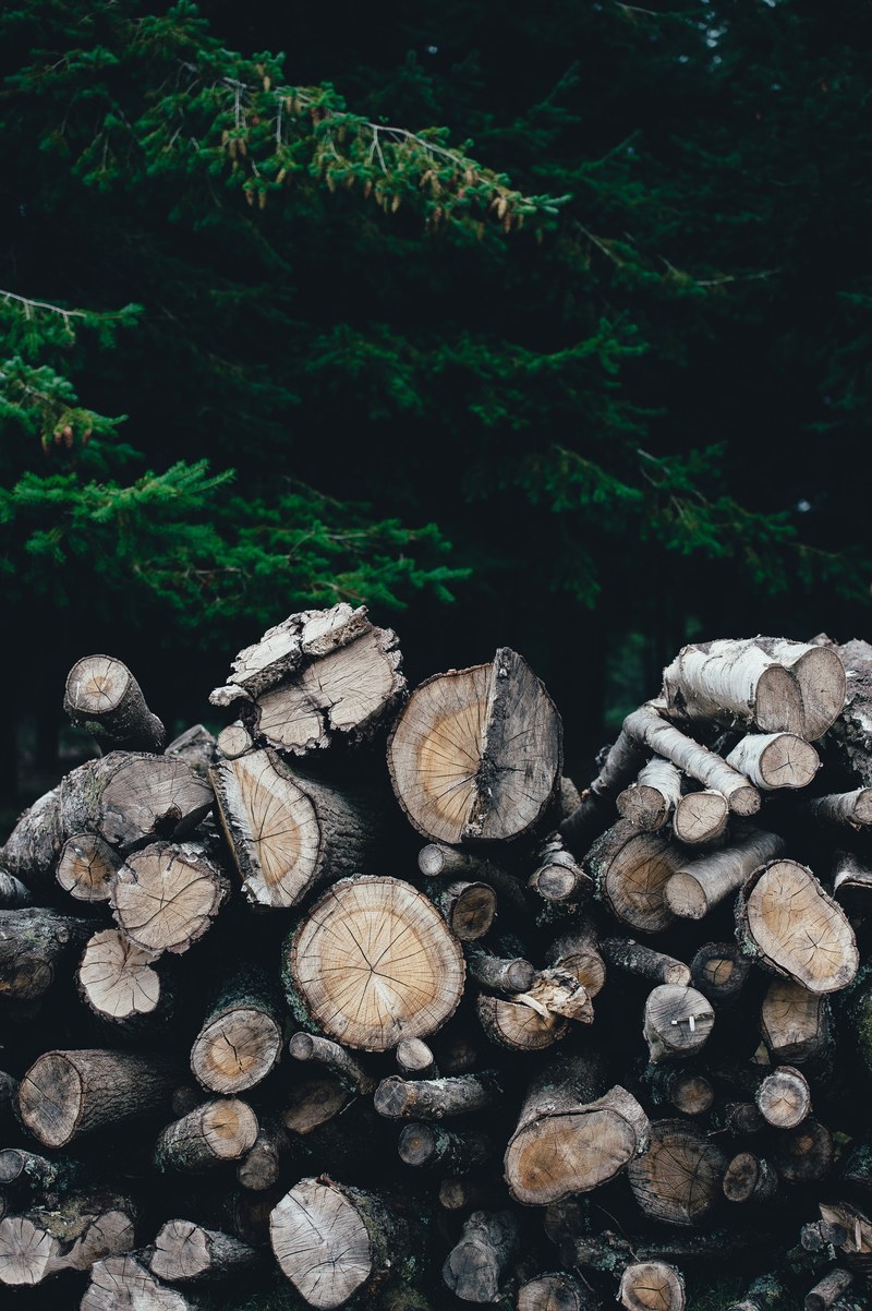stack pile wood and log hd, 4k