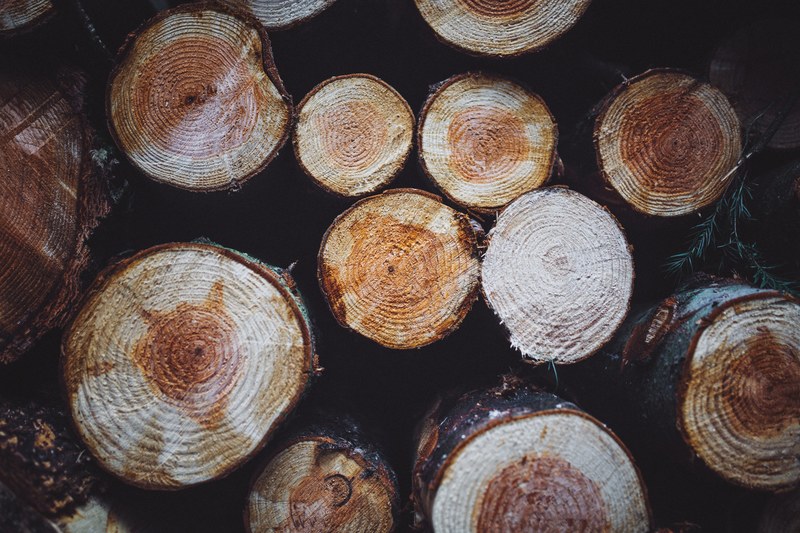 a pile of sawn logs with conspicuous growth rings, rings on logs 4k