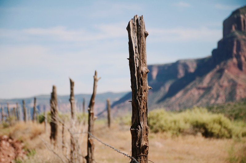 summer wild west and outdoor 4k