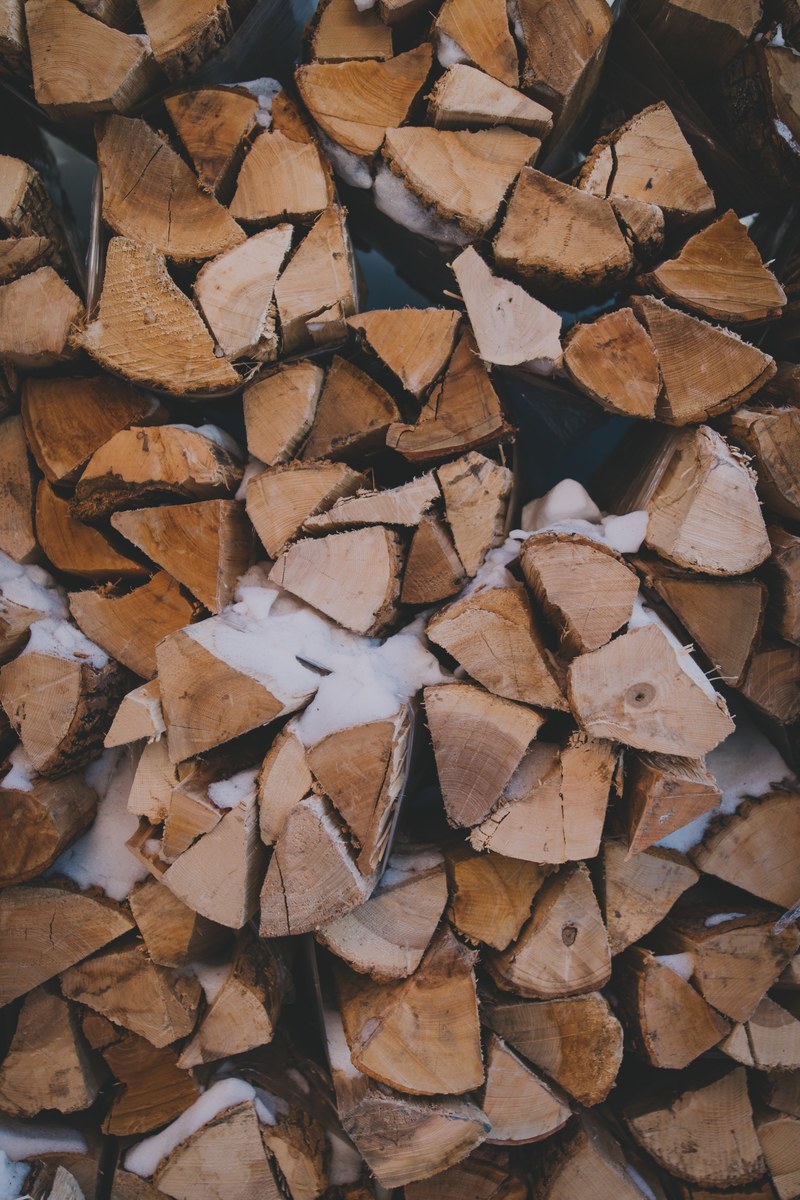logs from somewhere else 4k