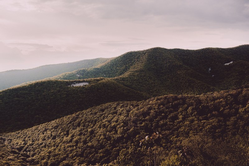 densely wooded hills in shenandoah national park, forested hills under clouds 4k