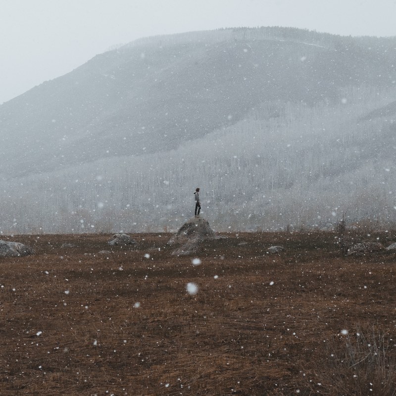 mountain snow tree and cold 4k