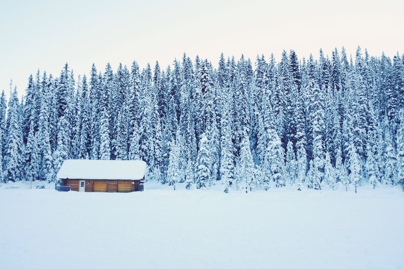 a log cabin next to a tree lined forest after a heavy snowfall, forest log cabin in snow 4k