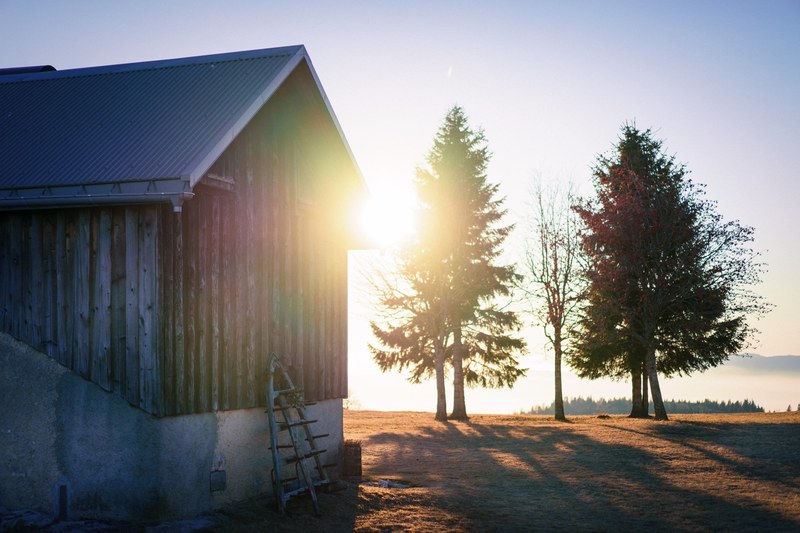 barn golden hour tree and sunset 4k