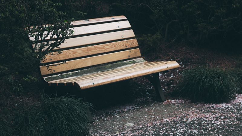 bench, park, foliage, trees, 4k