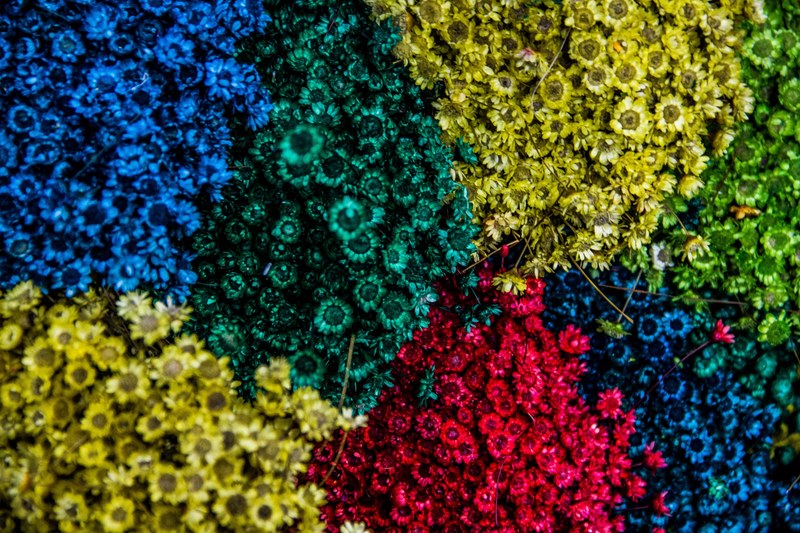 an overhead shot of a flower bed with patches of flowers in various contrasting colors, stunning colorful flower bed 4k