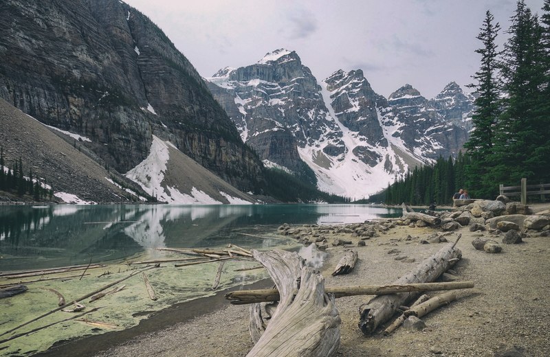 driftwood on the shore of an azure mountain lake, peaceful mountain lake 4k
