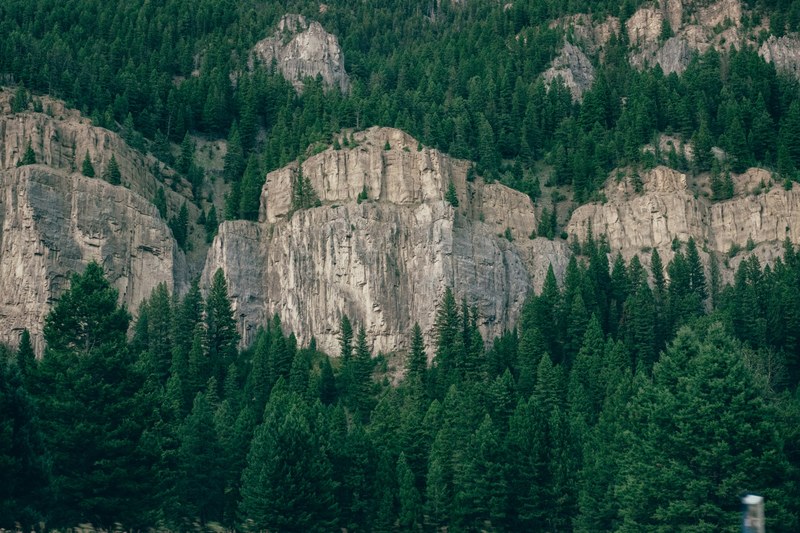 coniferous trees on jagged rock faces and below them, jagged rocks among trees 4k