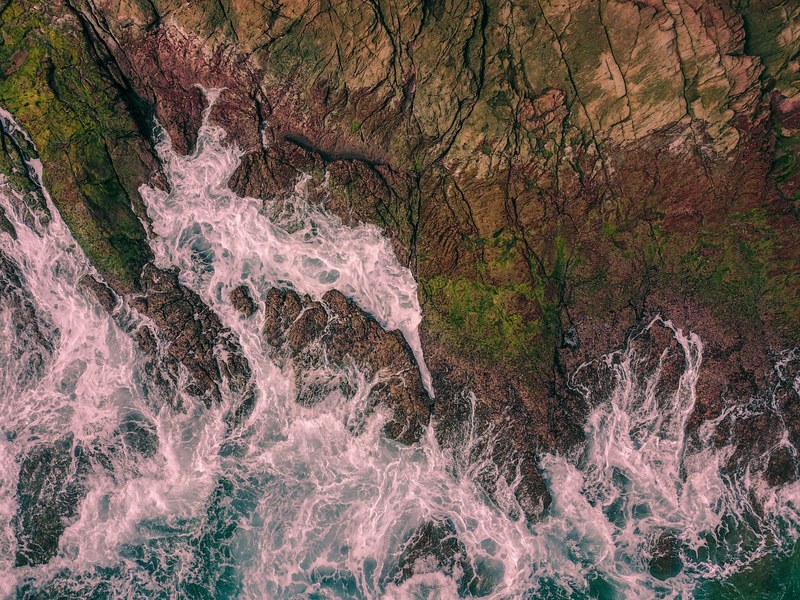 the coast is alive 4k