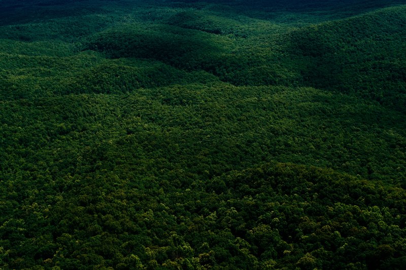 a drone shot of wooded hills in caesars head state park visitor center, sea of trees 4k