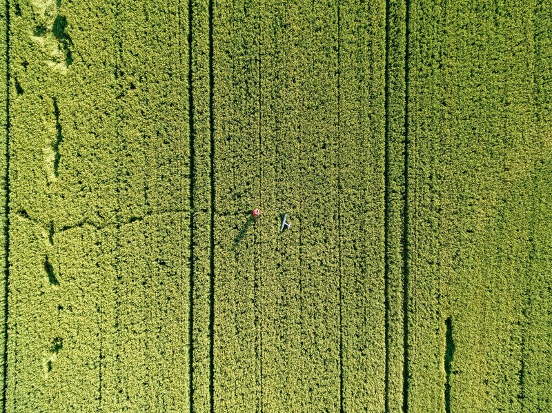 drone view aerial view agriculture and field 4k