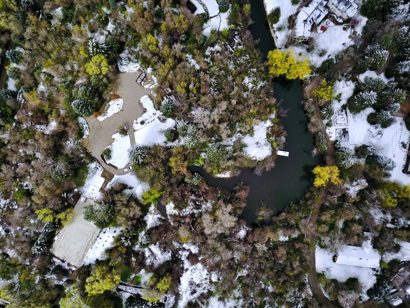 a drone shot of salt lake city utah showing trees water streets and snow, beautiful chaos 4k
