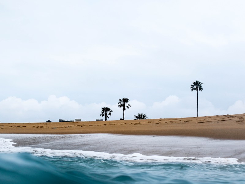view of the newport sand beach with palm trees from the ocean, newport beach from the ocean 4k