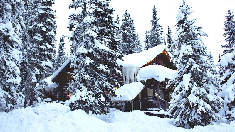 house, forest, winter, snow, 4k