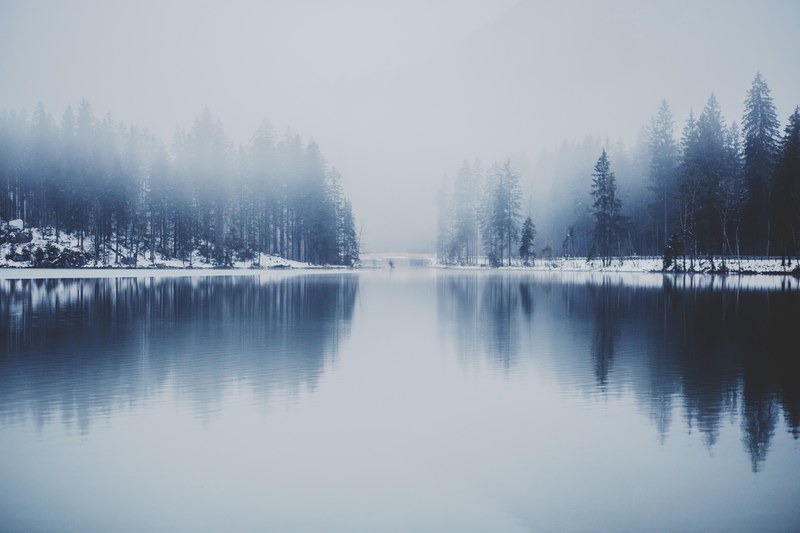 a lake with snowy wooded shores in fog, cold lake 4k
