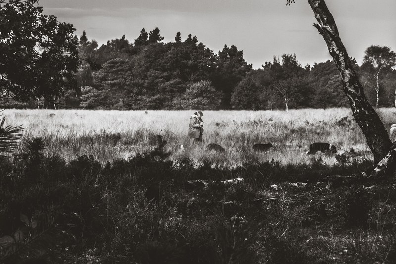 rural nature constrast and monochromatic 4k
