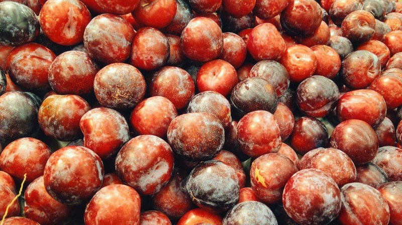 plum fruit autumn and brown 4k