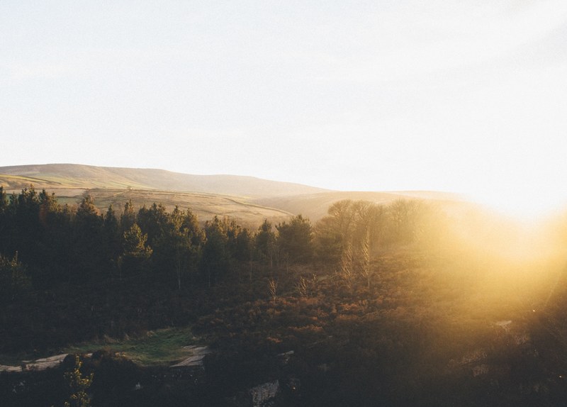 a small forest in a hilly countryside hills during sunset, sunset over hilly countryside 4k