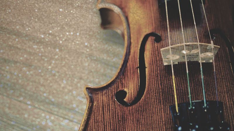 violin, strings, wooden, 4k