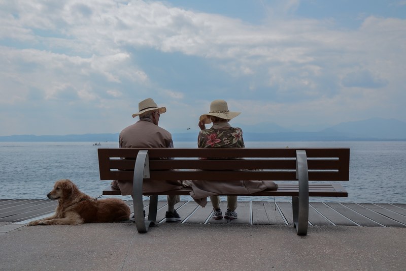 an older couple enjoy a seaside moment on a bench with their dog, rest on seaside bench 4k
