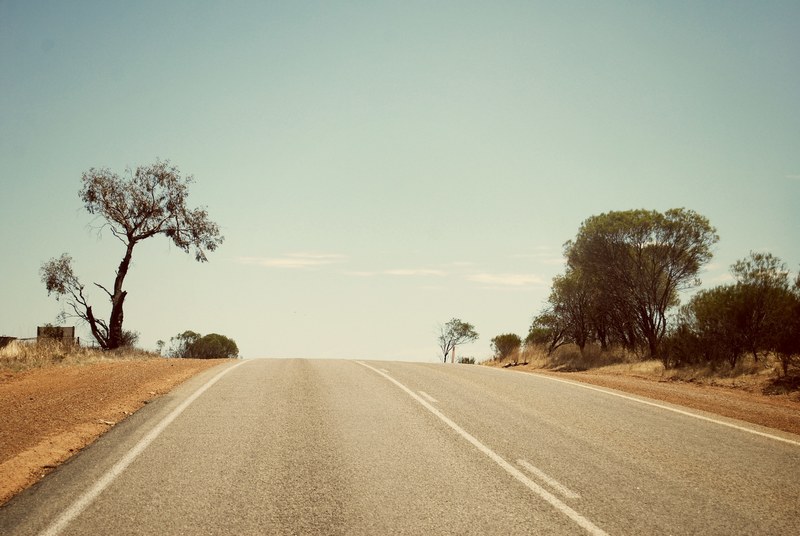 desert road surrounded by barren trees, dry desert drives 4k