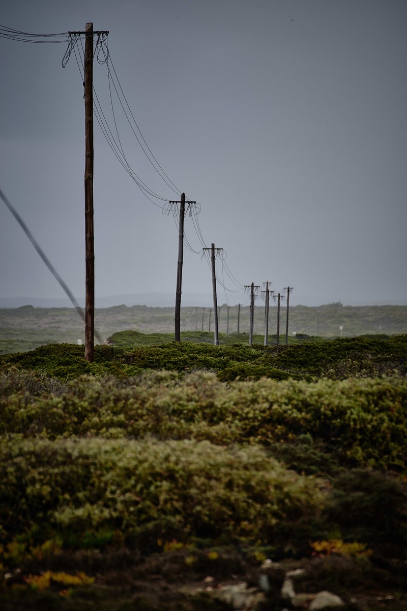 telephone or power lines stretching out from the foreground to the distant horizon beside various bushes, power lines in the field 4k