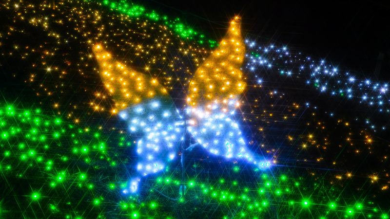 glitter, butterfly, abstraction, 4k