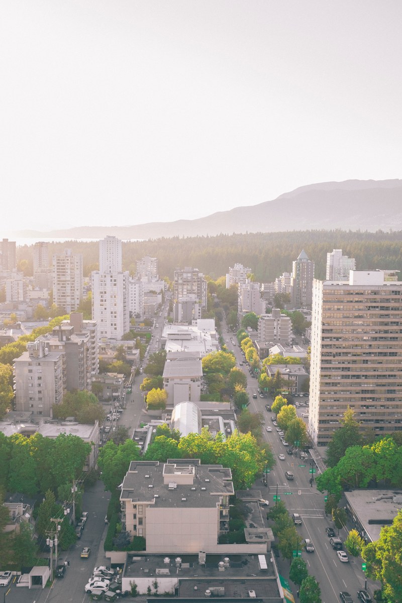 street tree skyline and city hd, 4k