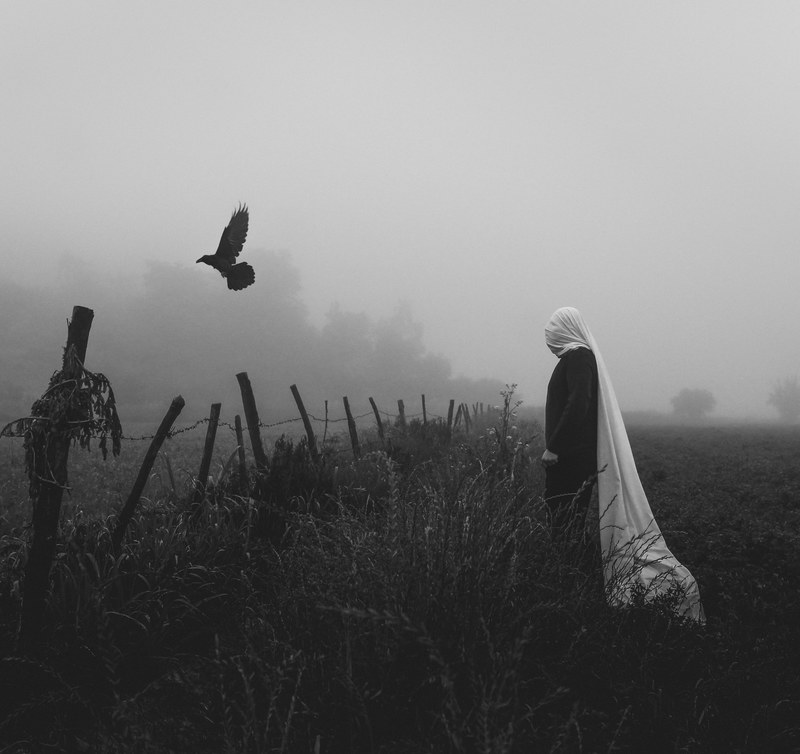 scarecrow bird fence and field 4k