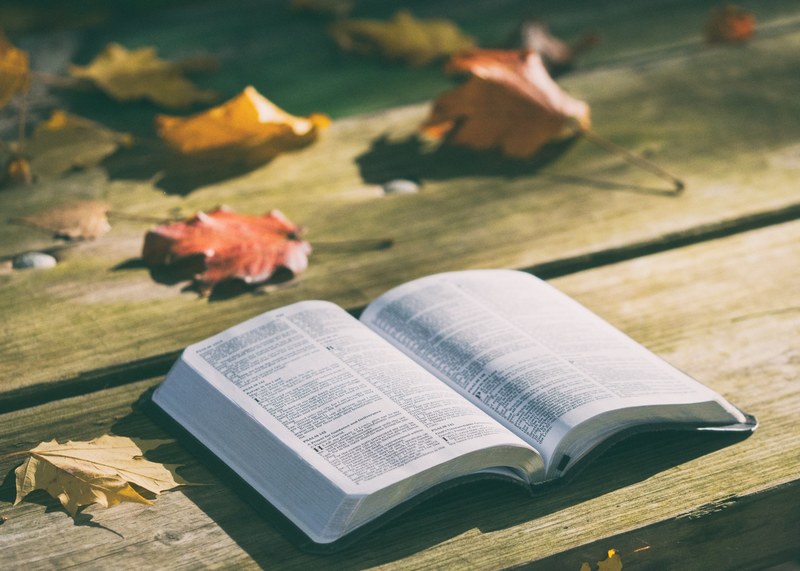 an open book on a wooden surface next to colorful autumn leaves, open book and autumn leaves 4k