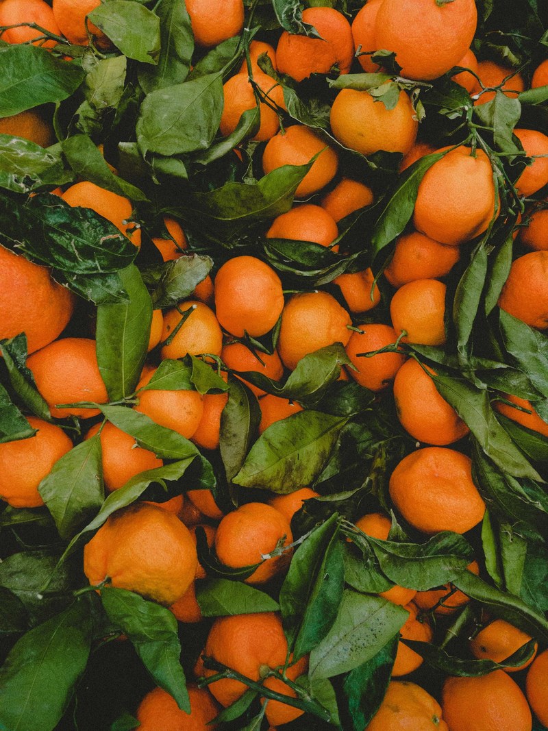 orange fruit leaf and harvest hd, 4k