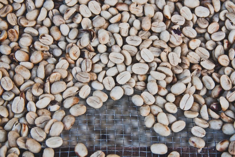 bean coffee coffee bean and grid 4k
