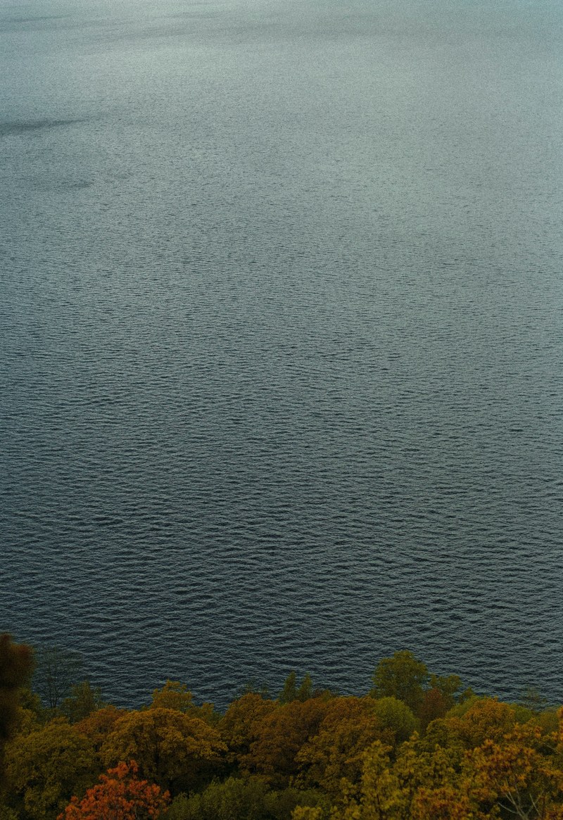 a high angle shot of the choppy surface of a lake with autumn trees on the shore, calm before the storm 4k