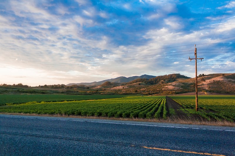 view of crop rows from across a road, _crop rows 4k