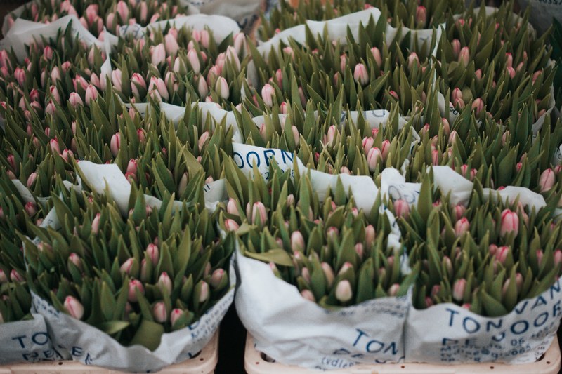 bouquets of pink tulip buds at market stall in spring, tulips at the flower market 4k