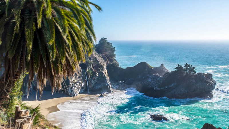 palm tree on the hill overlooking ocean bay surrounded by cliffs, ocean bay view 4k