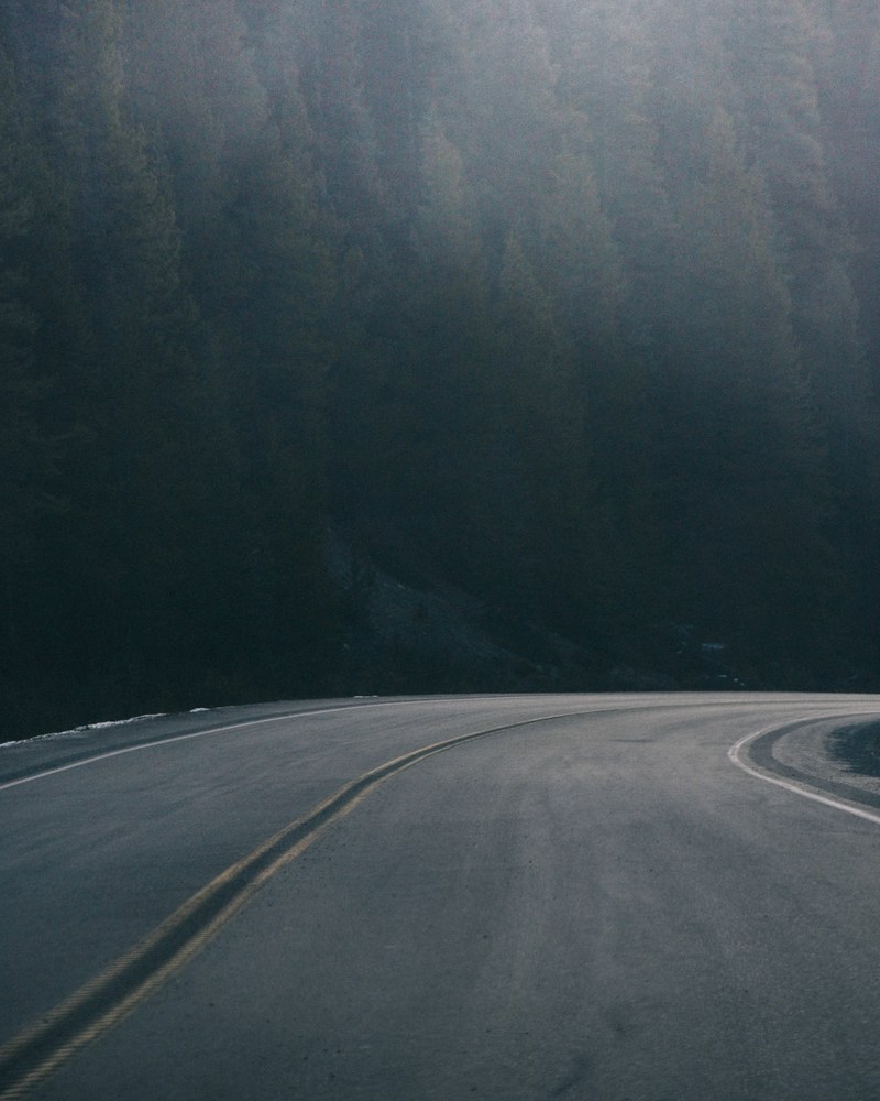 evergreen woods above a curve in an empty asphalt road, trees above a road curve 4k